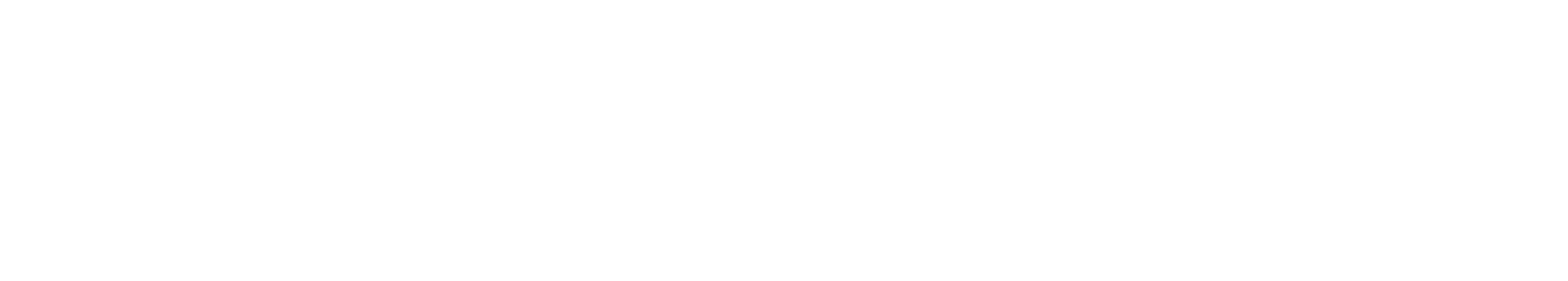 Learnster white logo